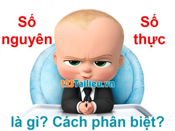 Số nguyên là gì? Số thực là gì? Cách phân biệt Số nguyên với Số thực?