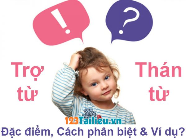 Trợ từ là gì? Thán từ là gì? Đặc điểm, Cách phân biệt và Ví dụ cụ thể?