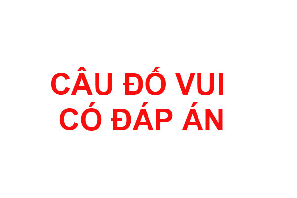 Câu đố vui có đáp án hay