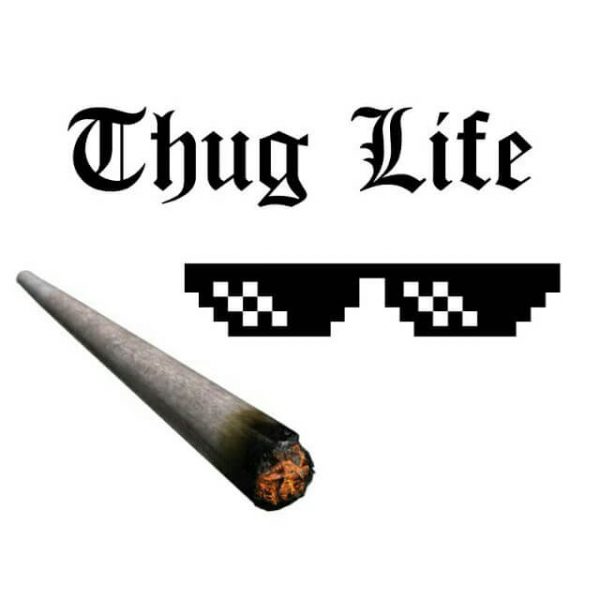 thug-life-la-gi