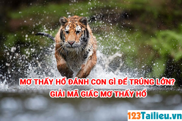 Mơ thấy hổ đánh con gì để trúng lớn? Giải mã giấc mơ thấy hổ